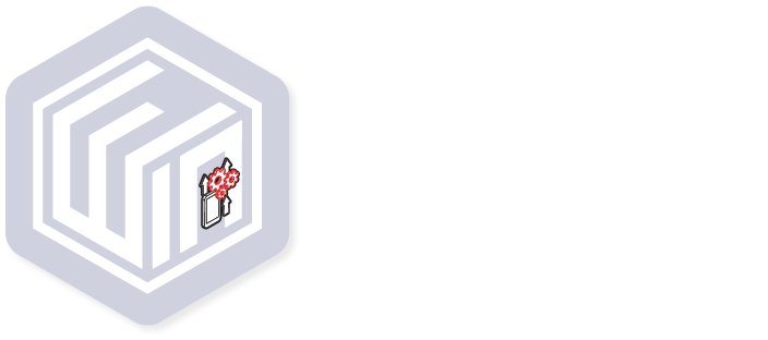 Wakamono Innovation Network 2018