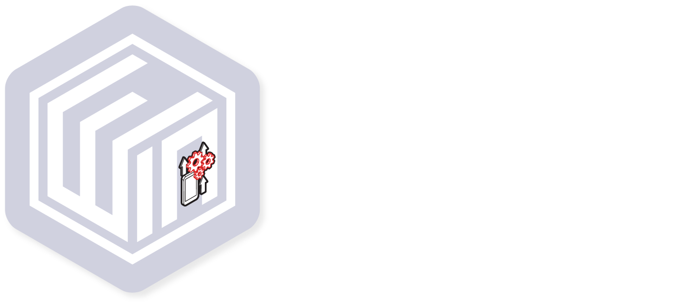 Wakamono Innovation Network 2021